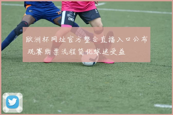 欧洲杯网址官方整合直播入口公布 观赛购票流程简化球迷受益